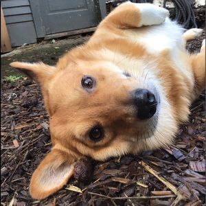 Meet your Posher, Cora